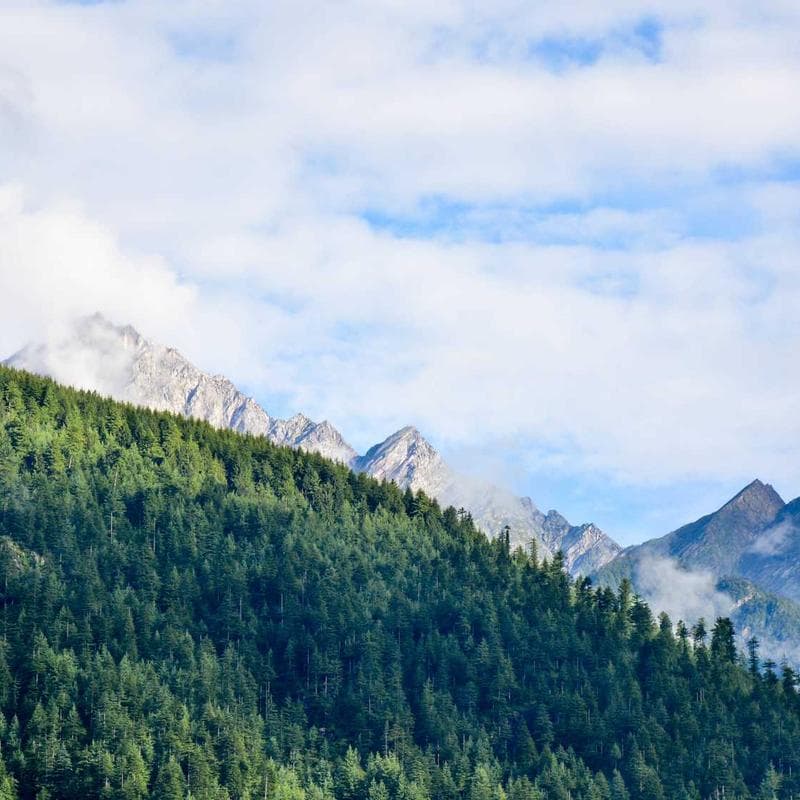 Clown puppy blind box